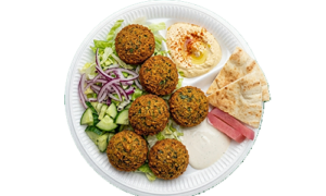 Dolo_Gerolstein-Falafel
